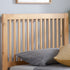 Buxton Trundle Bed